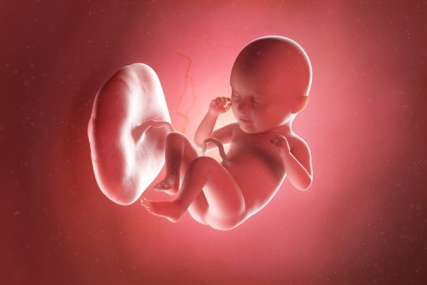 i.php?p=Miscarile bebelusului 35 saptamani_2(1).jpg
