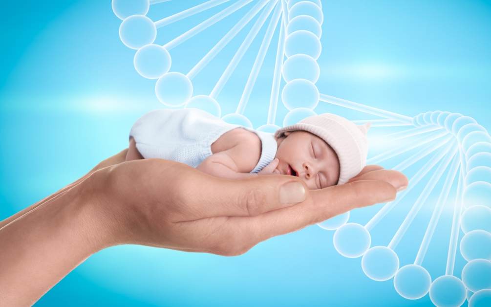bebe si genetica