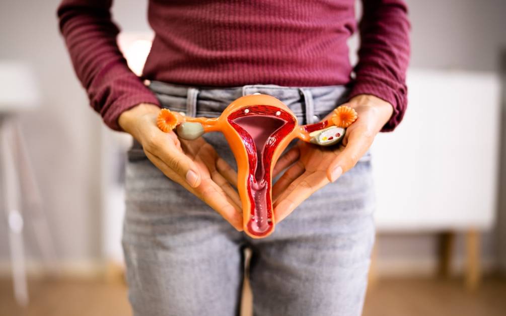 folicolul ovarian