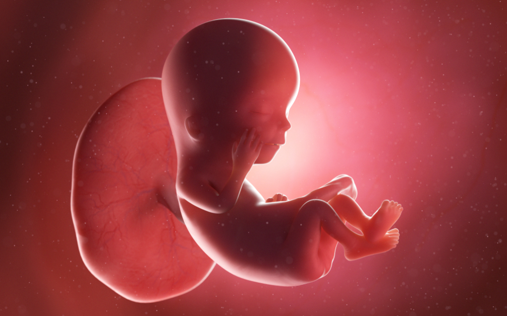 Copilul tău în săptămâna 12 de sarcină (sexul în săptămâna 12 de sarcină)